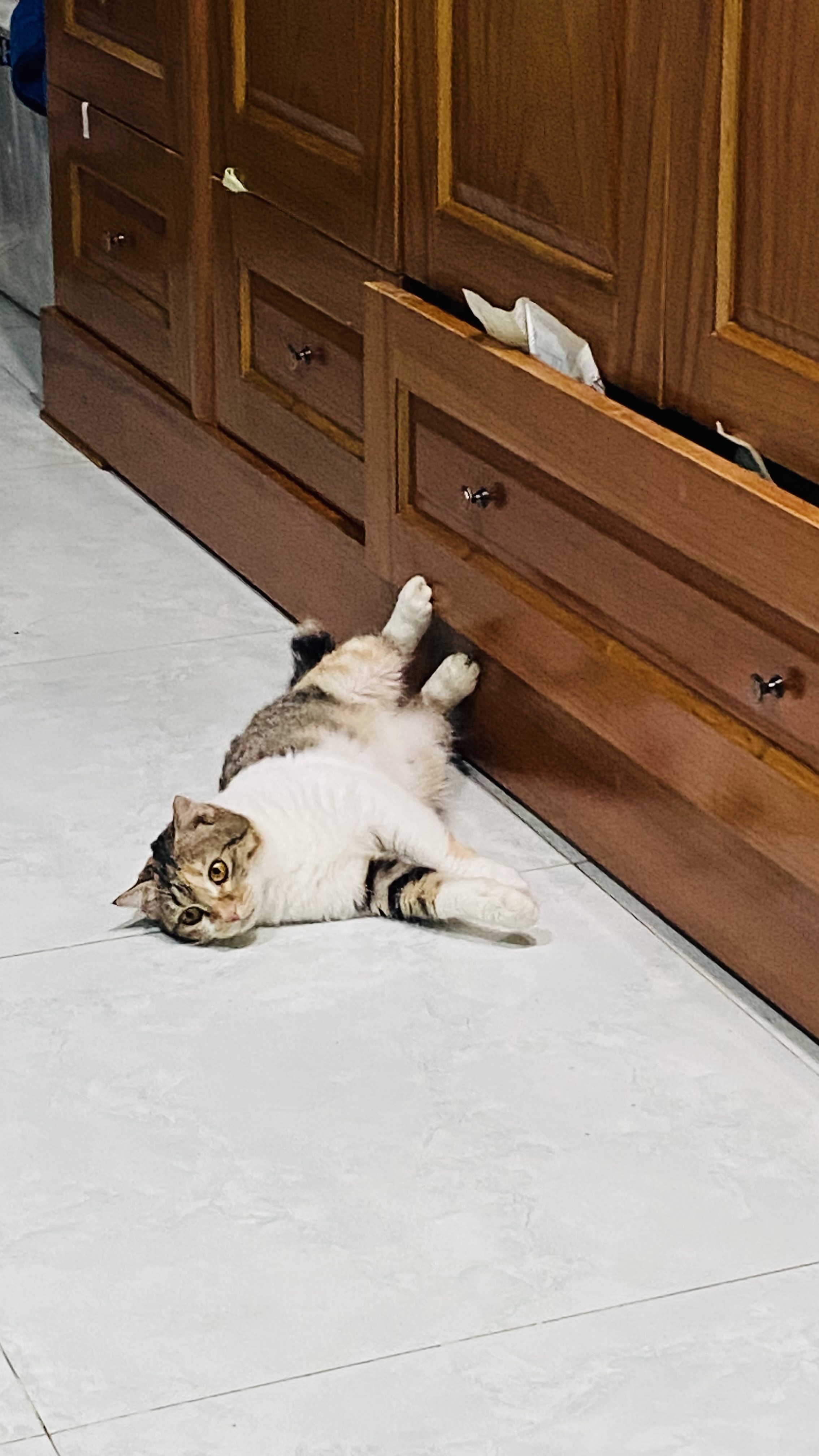 Vhuynh